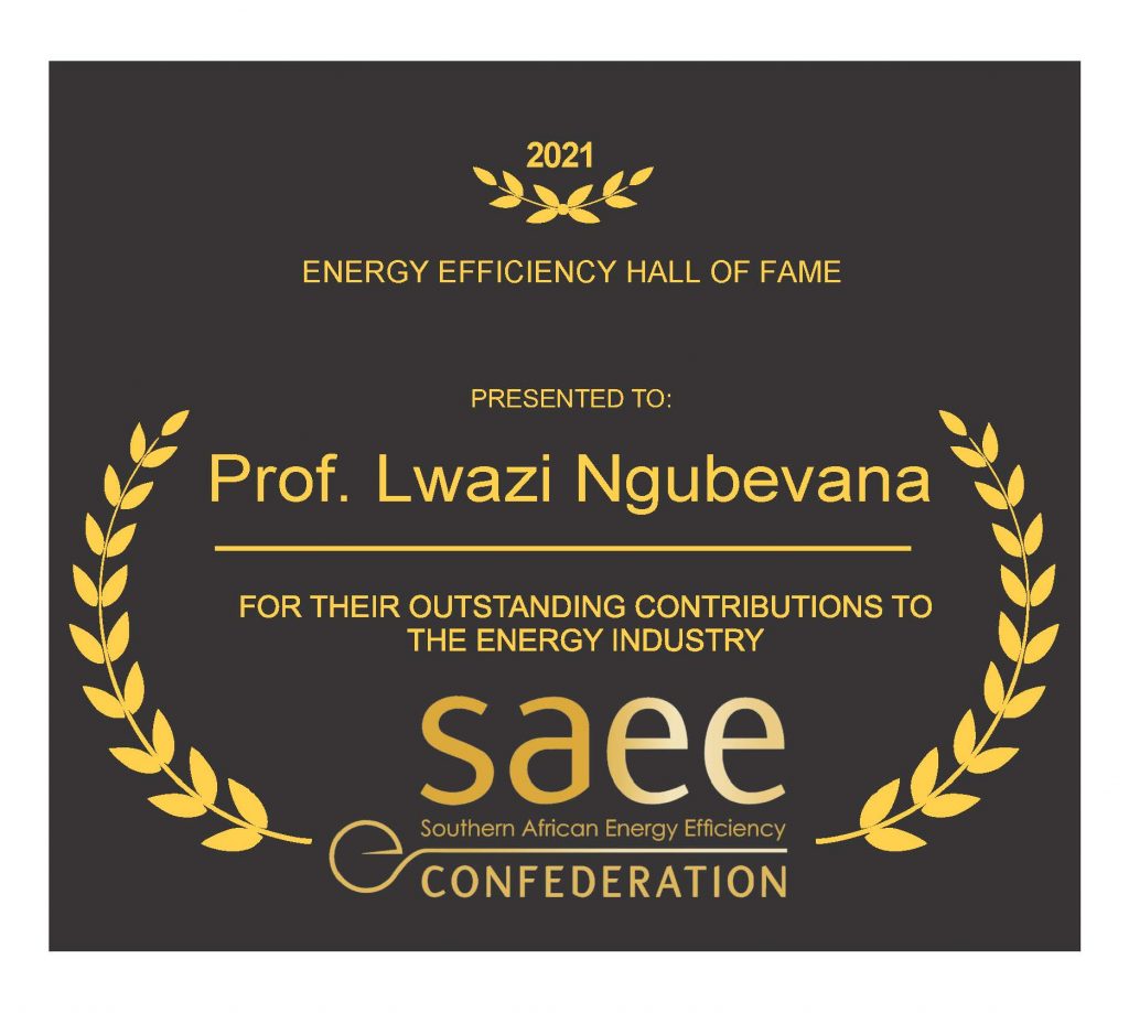 Prof Lwazi Ngubevana SAEE