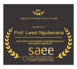 Prof Lwazi Ngubevana SAEE